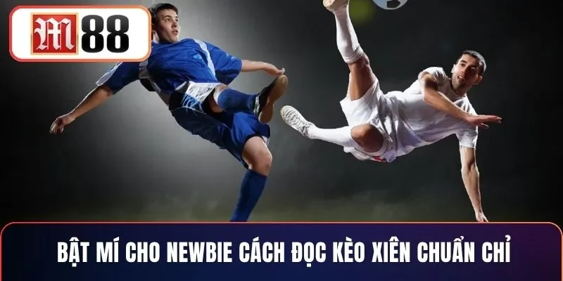 Bật mí cho newbie cách đọc kèo xiên chuẩn chỉ