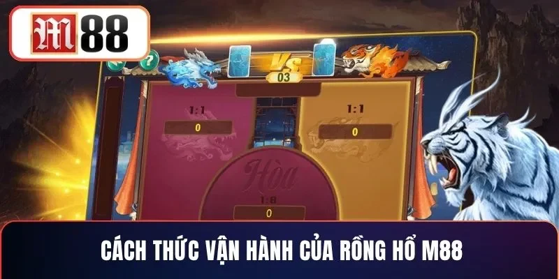 Cách thức vận hành của rồng hổ M88