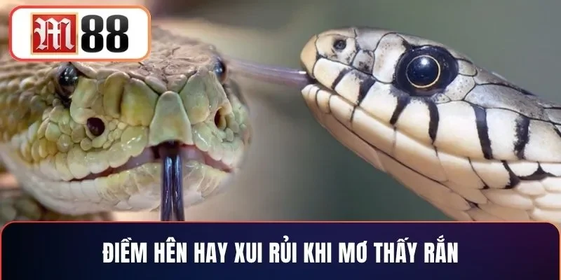 Điềm hên hay xui rủi khi mơ thấy rắn