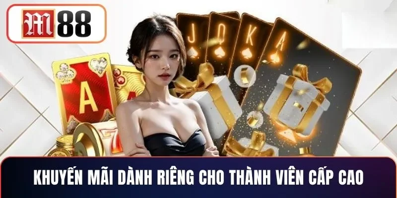 Khuyến mãi dành riêng cho thành viên cấp cao