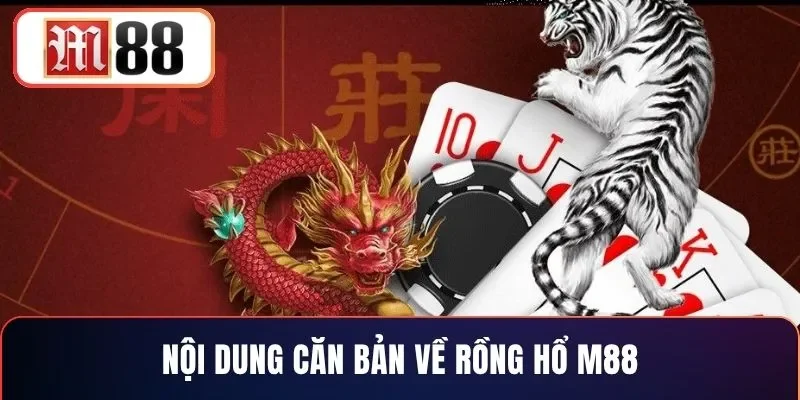 Nội dung căn bản về rồng hổ M88