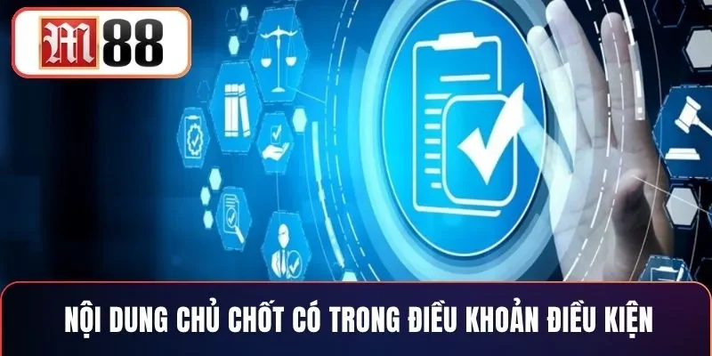 Nội dung chủ chốt có trong điều khoản điều kiện
